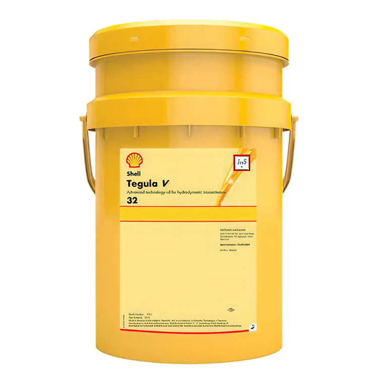 Shell Tegula V 32